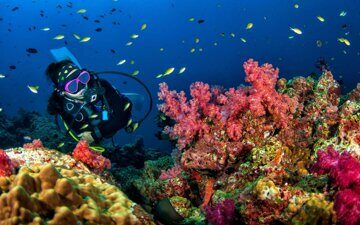 Diving-with-coral-reef